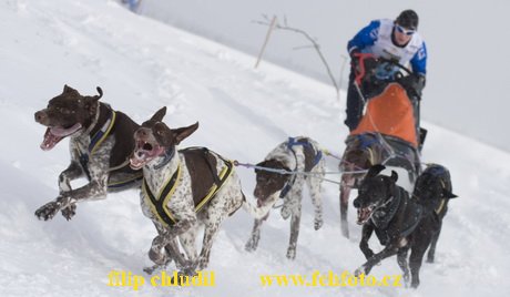 Tri studne zima 2009 - 0844.jpg